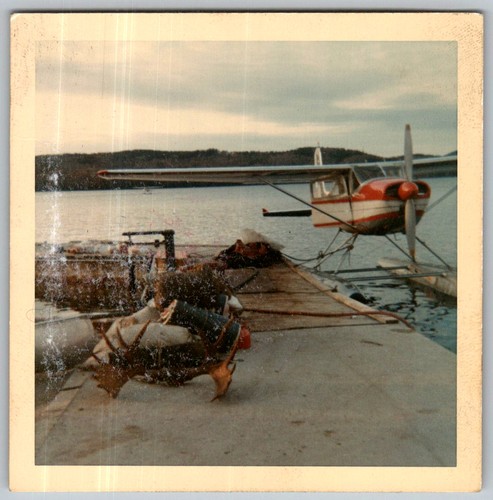 Vtg color snapshot - vtg, float