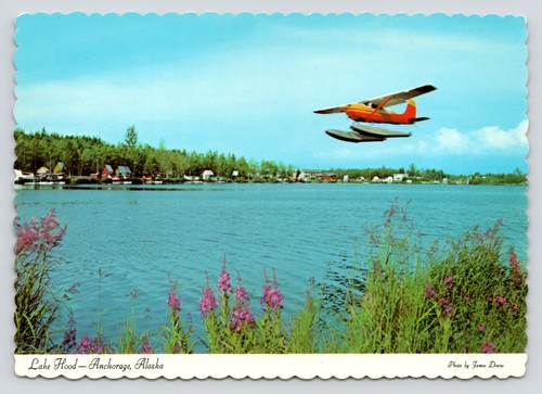 Float plane flying lake hood - plane,