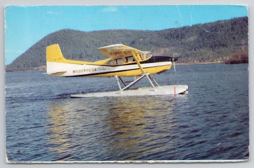 Vintage wilderness air - vintage,