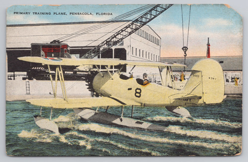Primary training plane - primary,